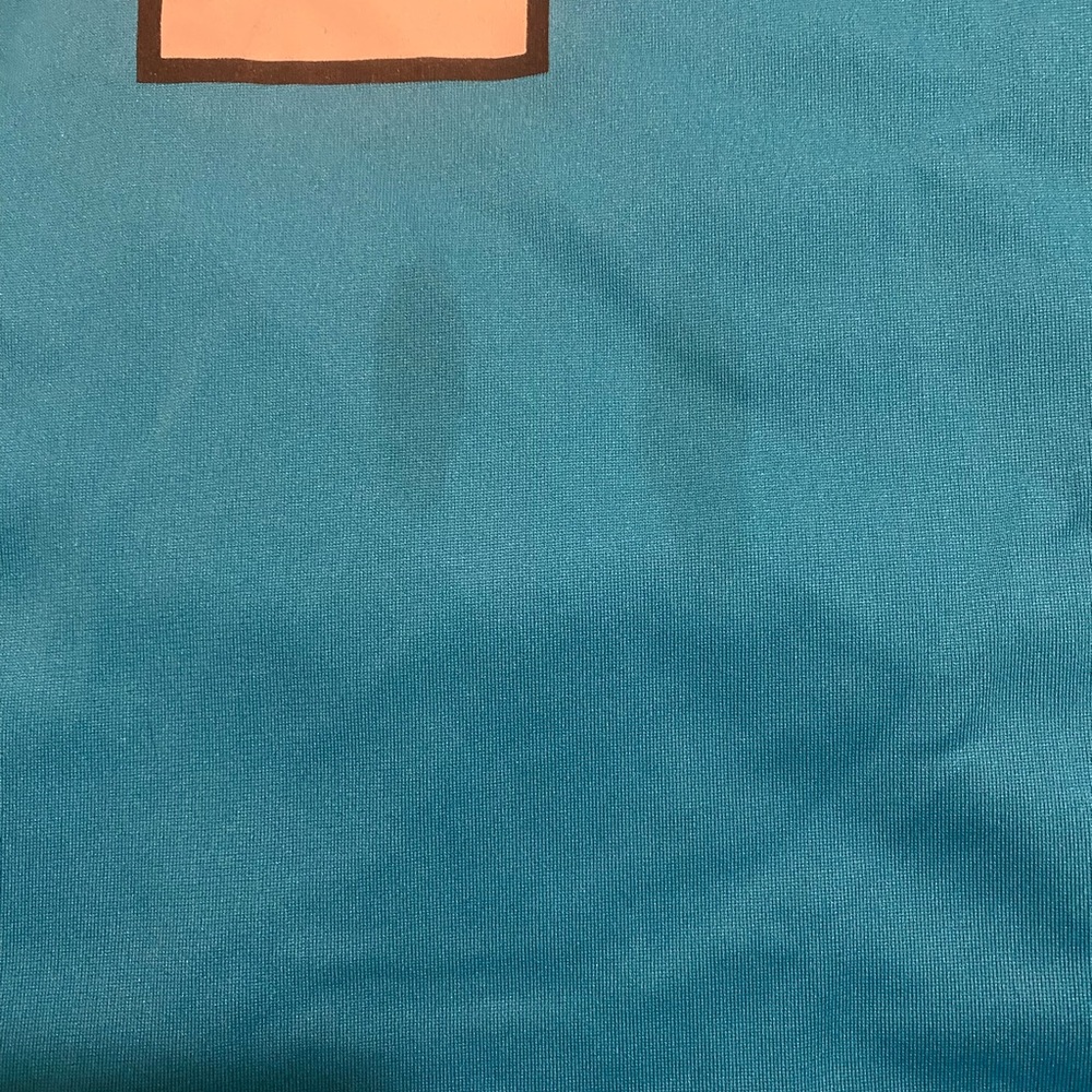 NFL Nike Carolina Panthers 🐆 Cam Newton Jersey - Picture 2 of 4
